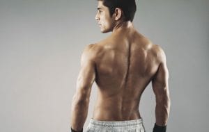 ベントオーバーローイングで鍛えられる部位⑥脊柱起立背筋（背中の中央にある筋肉）