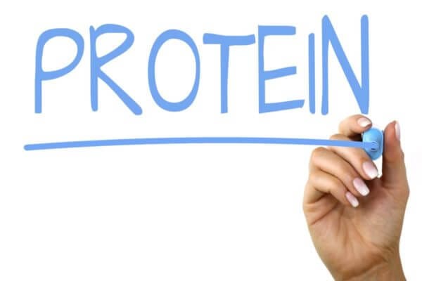 体脂肪だけを落とす④タンパク質を積極的に摂ろう