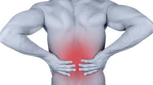腹筋の筋力が低下すると「姿勢悪化」により腰痛を引き起こす