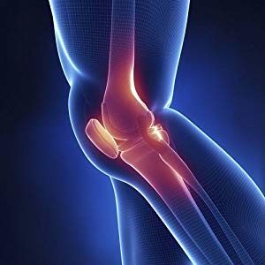 対象筋が異なる理由は「膝関節動作の関与」