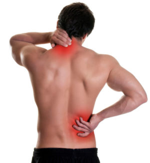 スティッフレッグデッドリフトの効果③「腰痛の改善に効果的」