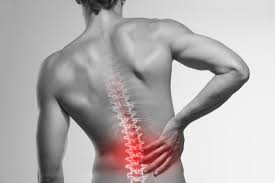 脊柱起立筋を鍛える効果とメリット③「筋力不足が原因の”腰痛”の改善に効果的」